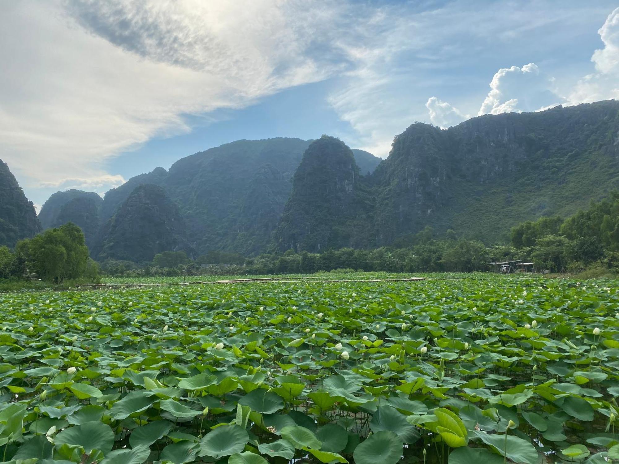Halise Home And Retreat Ninh Bình Kültér fotó